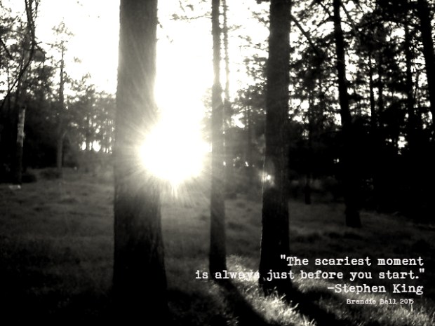 "The scariest moment is always just before you start." -Stephen King