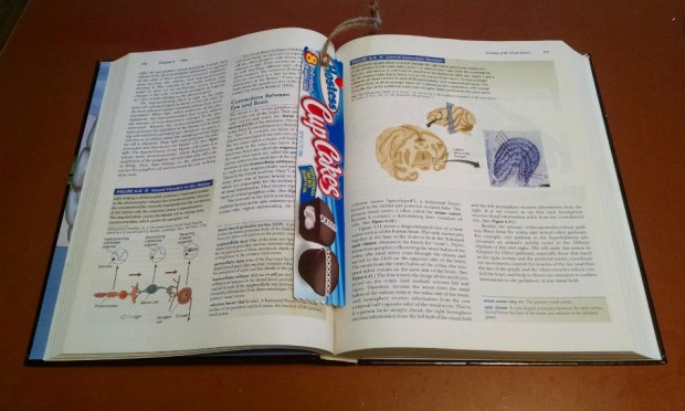 Mmm Sweet Knowledge...