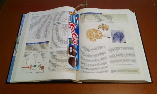 Mmm Sweet Knowledge...