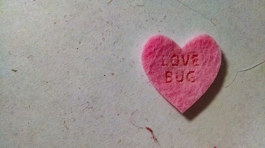 Valentines day felt pins-130040370.JPG