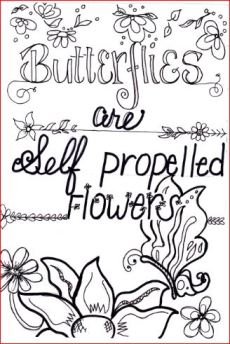 Capturebuttrflies are