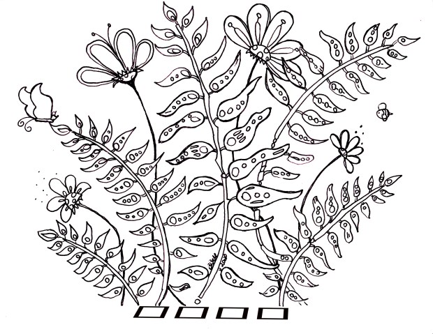 Flowers and Ferns coloringpage