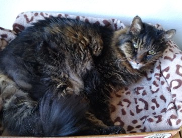 IMG_20200322_120536322