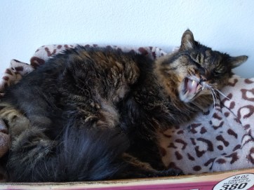 IMG_20200322_120540051