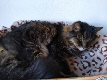 IMG_20200322_120547679